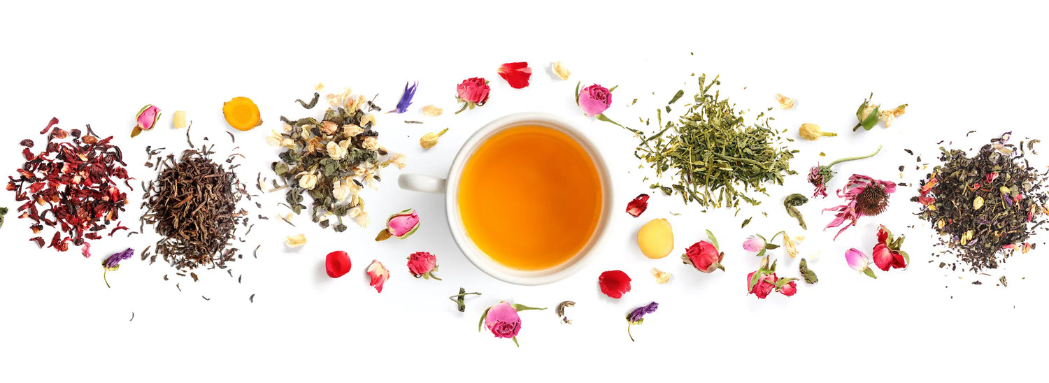 Thés et Infusions BIO - SELECTION FINE TEA